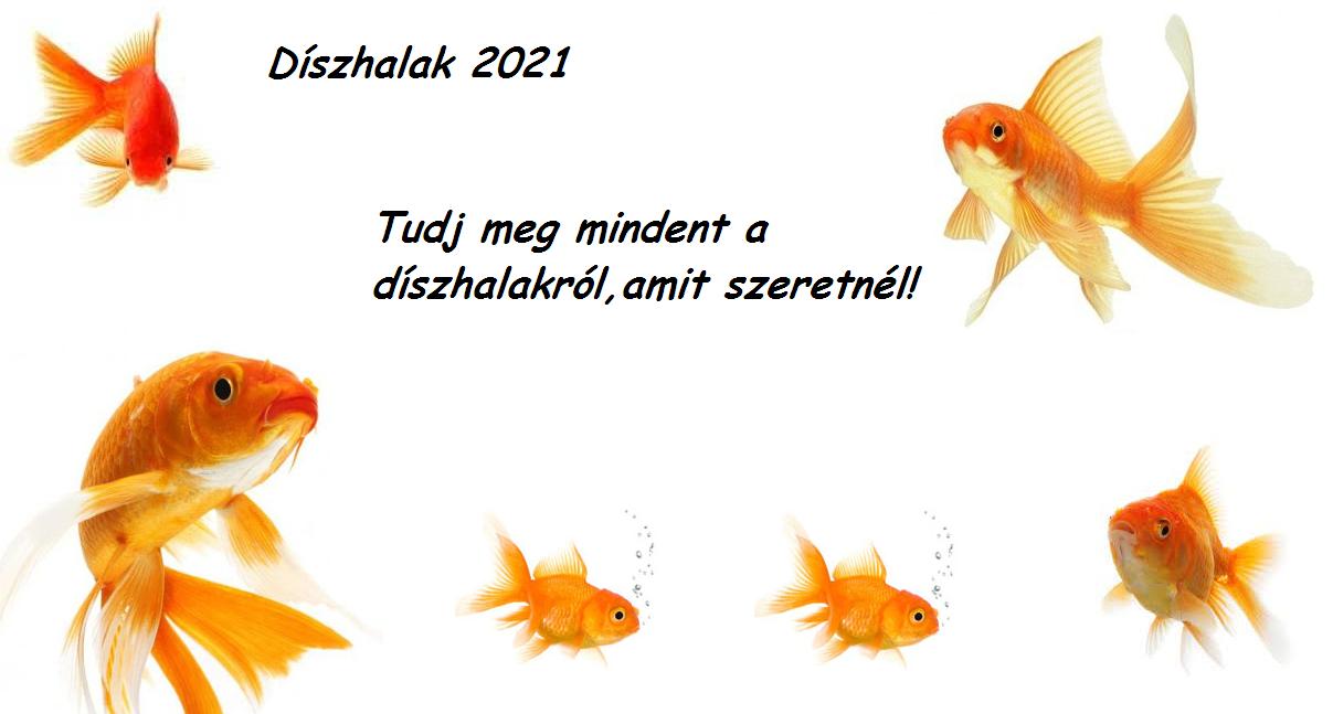 akvarisztika2021
